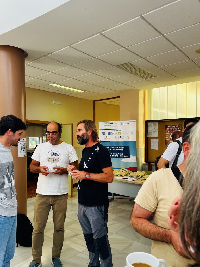 sesión networking