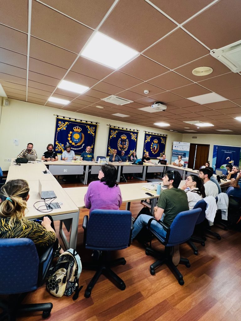 mesa redonda