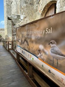 WhatsApp Image 2025-03-14 at 11.06.31