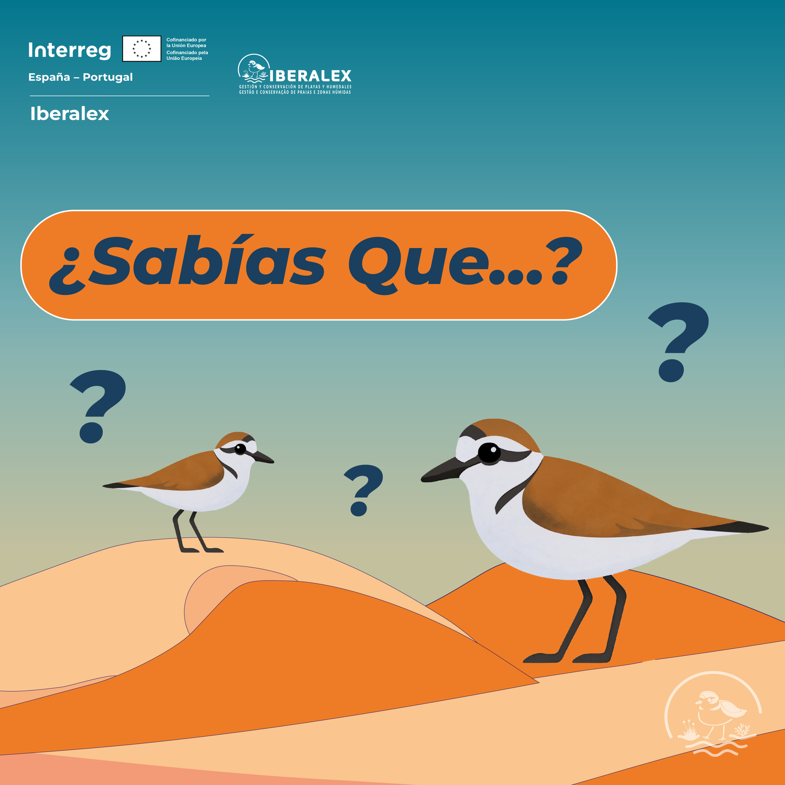 sabias que?publi ala rota-02 copia