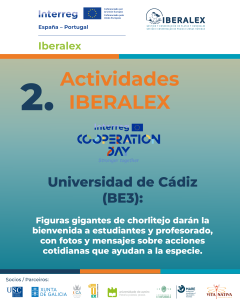 actividades-05