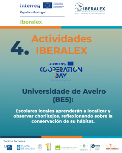 actividades-06