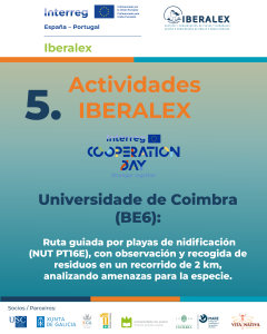 actividades-07