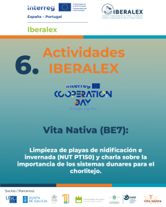 actividades-08