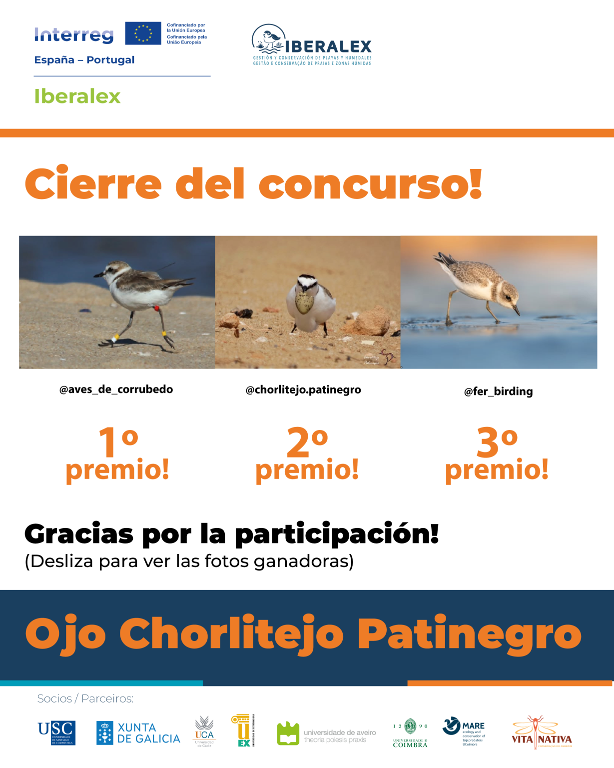 Un concurso que traspasa la pantalla: balance del I Certamen Fotográfico del Chorlitejo Patinegro