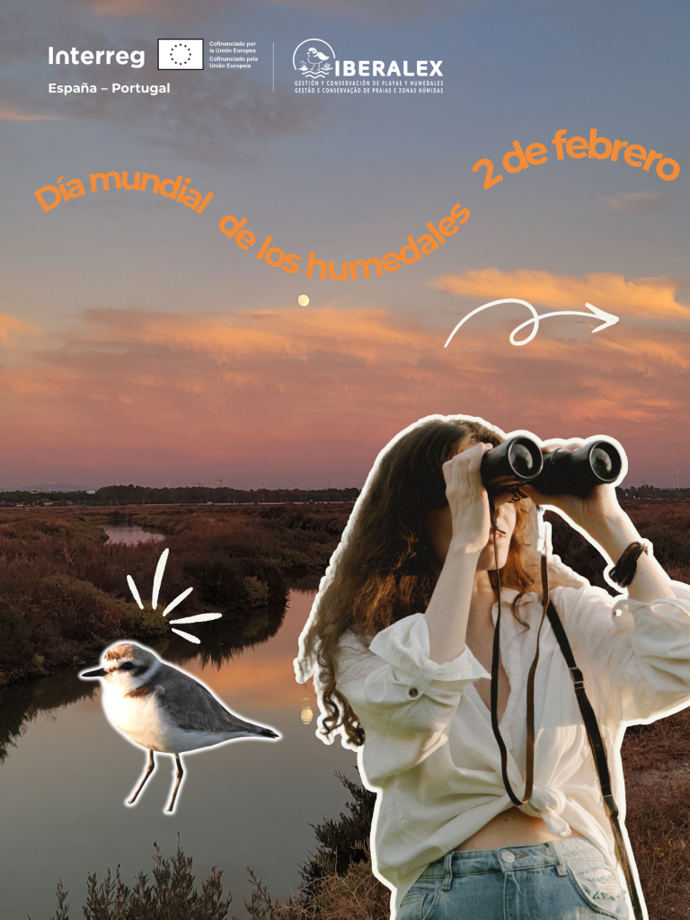 Día Mundial de los Humedales: su importancia para las aves y el litoral en el proyecto IBERALEX