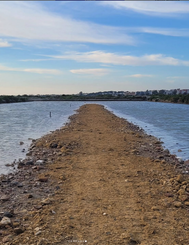 CONSAL 2026: Participación ciudadana para la conservación activa en la Salina de la Esperanza